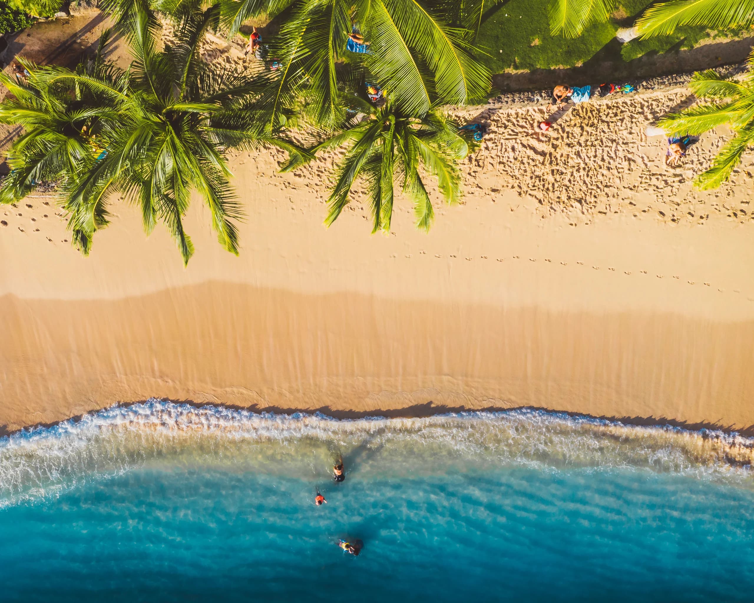 Stunning overhead shot of a tropical beach with swaying palm trees and ocean waves hitting the sandy shore.
