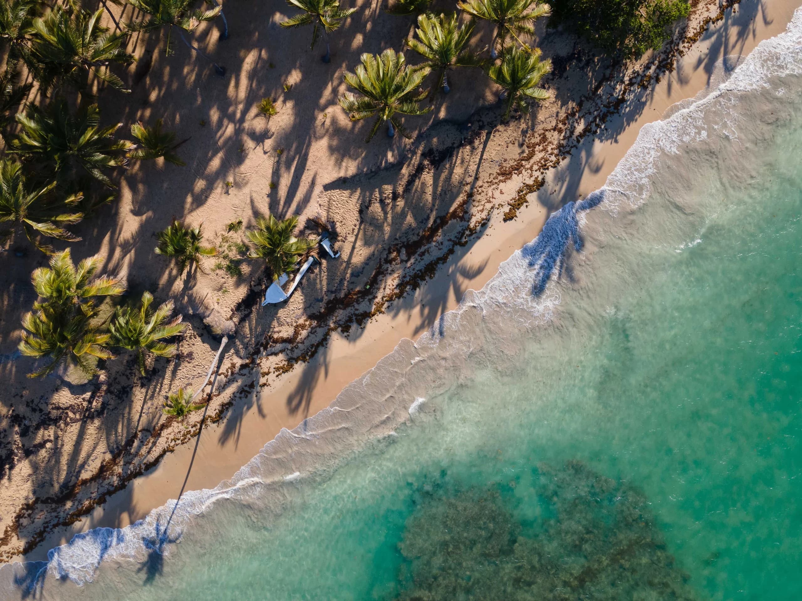 Drone shot of a tropical beach with palm trees and turquoise waters, ideal for travel inspiration.