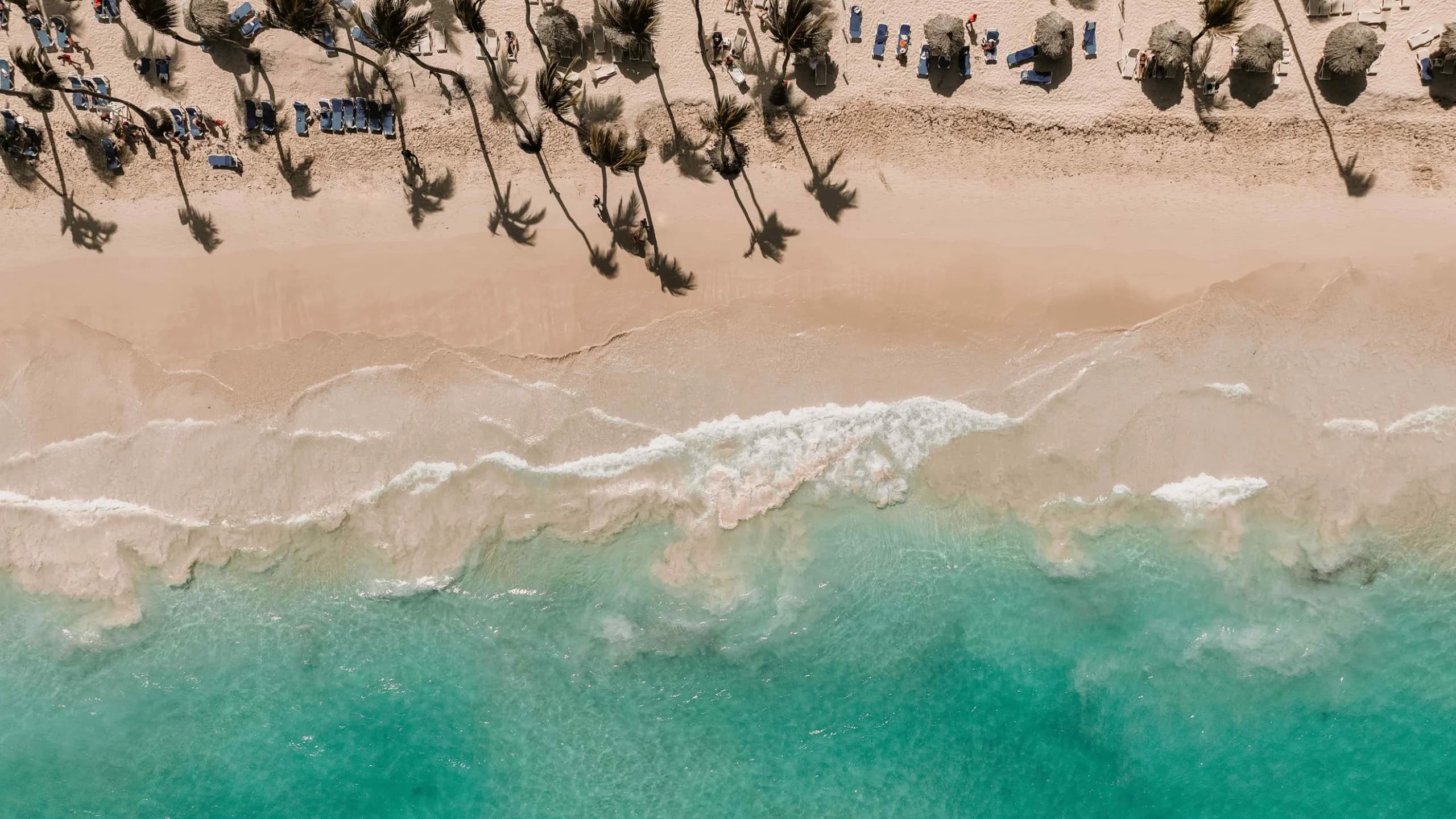 Breathtaking aerial view of a tranquil beach with turquoise waters and palm tree shadows.