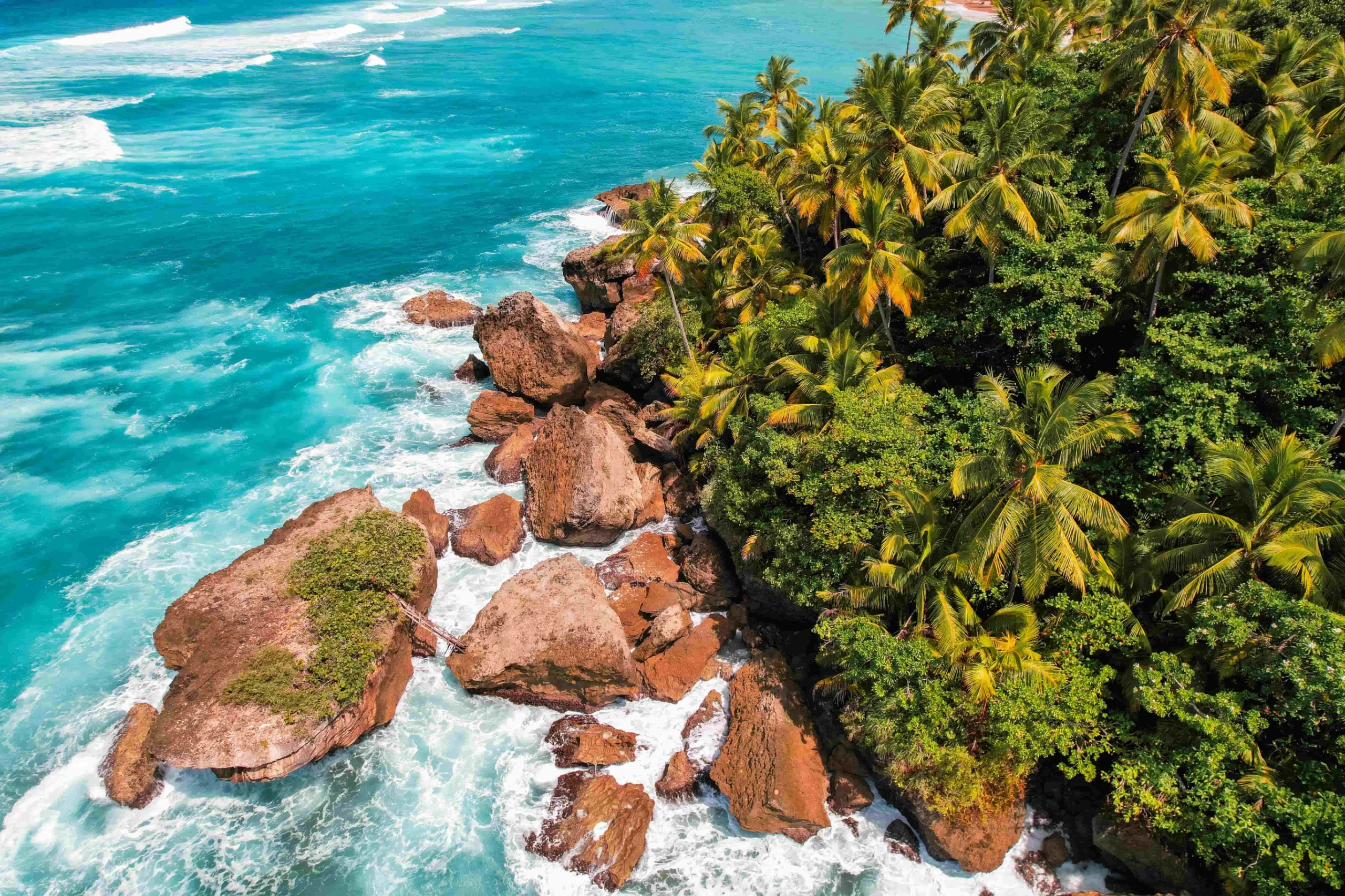 Aerial view of a tropical coastline with lush palm trees and rocky shore in Dominican Republic.